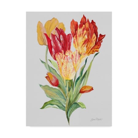 Jean Plout 'Botanicals 12' Canvas Art,24x32